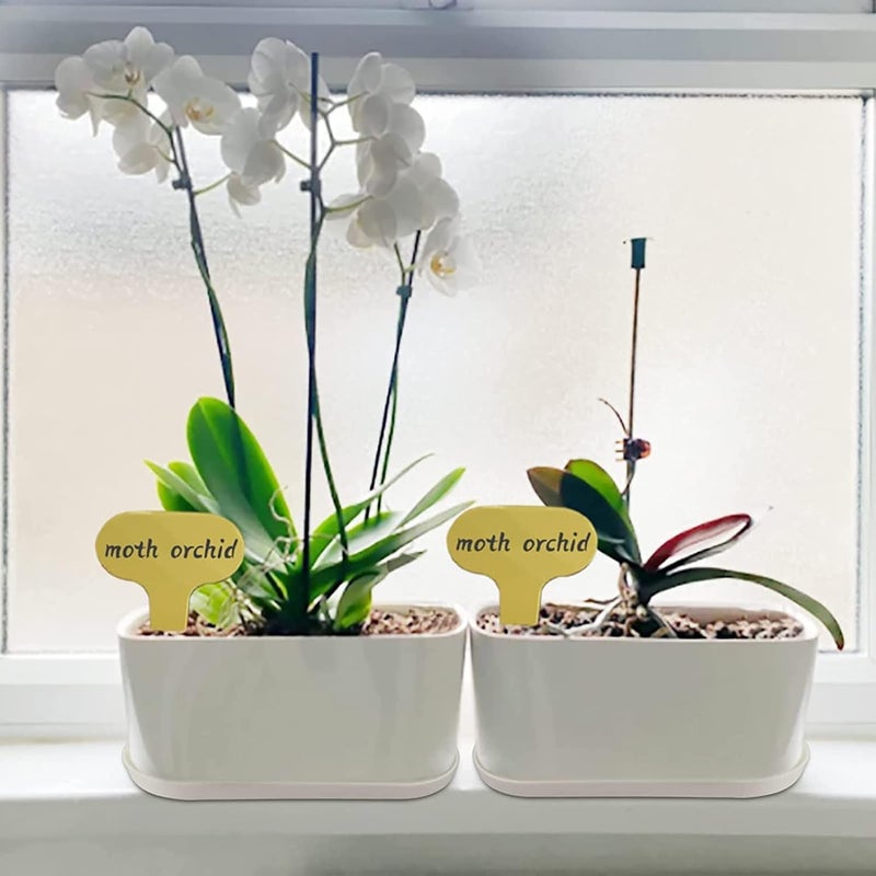 Torfican 20 Set Window Herb Planter Box Rectangular,8.5x3.5 Inch White Plastic Planters with Multiple Drainage Holes and Trays,Indoor Succulent Cactus Mint Flower Pot for Windowsill,Garden Balcony - Image 4